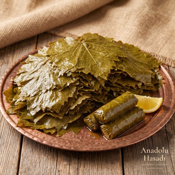 Malatya salamura asma yaprağı
